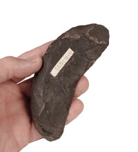Basalt Crescent Knife, Oregon