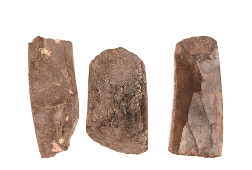 Inuit Eskimo Fossilized Ivory Mastidon Artifacts Set of 3