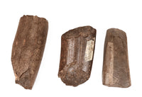 Inuit Eskimo Fossilized Ivory Mastidon Artifacts Set of 3