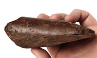 Inuit Eskimo Fossilized Ivory Mastidon Artifacts Set of 3