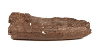 Inuit Eskimo Fossilized Ivory Mastidon Artifacts Set of 3