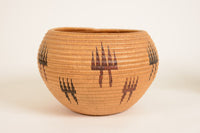 Washoe degikup basket with tentative attribution to Tootsie Dick Sam (1885 - 1929)