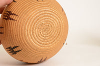 Washoe degikup basket with tentative attribution to Tootsie Dick Sam (1885 - 1929)