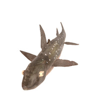 Chippewa Fish Decoy