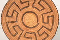 Pima Basket; Sifting Tray