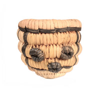 2 Hopi Pueblo, Star and Mudhead and 1 Papago Lightning Basket -  Set of 3