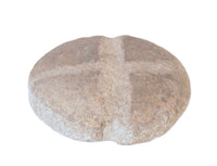 Columbia River Stone Artifact
