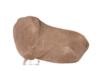 Stone Axe Head Artifact
