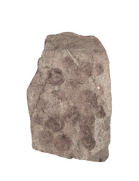 Green Stone with Circular Depressions 2 Sided Artifact