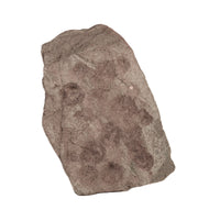 Green Stone with Circular Depressions 2 Sided Artifact