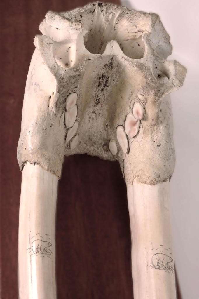 240419-02 - Image 3