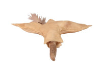 Eskimo Raw Hide with Antler Body Doll