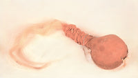 Plains Cheyenne Rattle