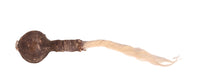 Cheyenne Plains Hide Rattle with Horsehair
