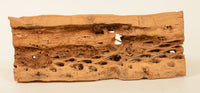 240903-16 - Image 5
