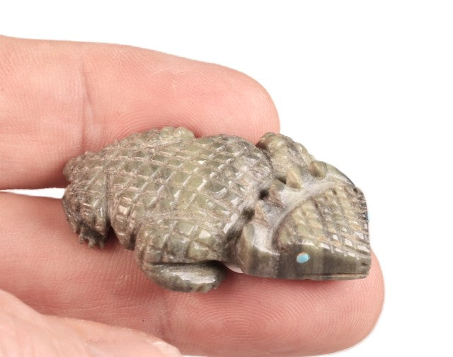 Zuni Pueblo Horned Toad Fetish By S. Banteah