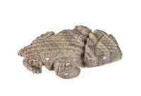 Zuni Pueblo Horned Toad Fetish By S. Banteah