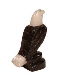Zuni Pueblo Bald Eagle Fetish