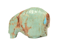 Zuni Pueblo Turquoise Bison Fetish