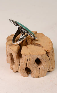241120-14 - Image 3