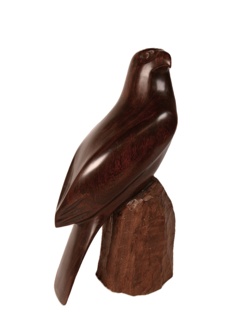 Mexico Seri Iron Wood Eagle Sculpture By JM
