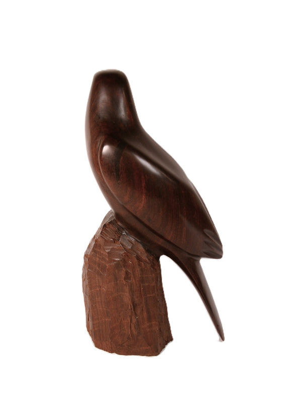 Mexico Seri Iron Wood Eagle Sculpture By JM