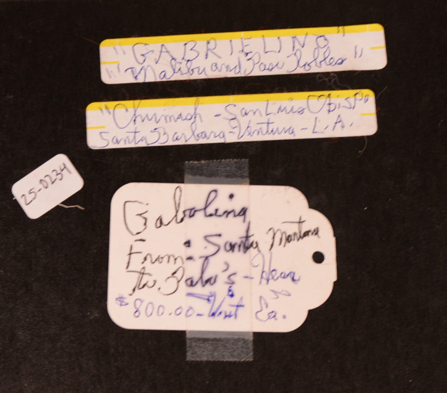 Chumash Mixed Artifacts