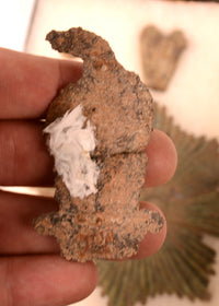 Oklahoma Dragoon Insignia Plume Holder