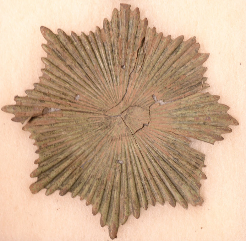 Oklahoma Dragoon Insignia Plume Holder