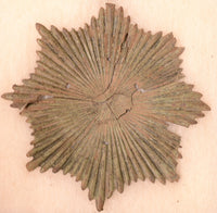 Oklahoma Dragoon Insignia Plume Holder