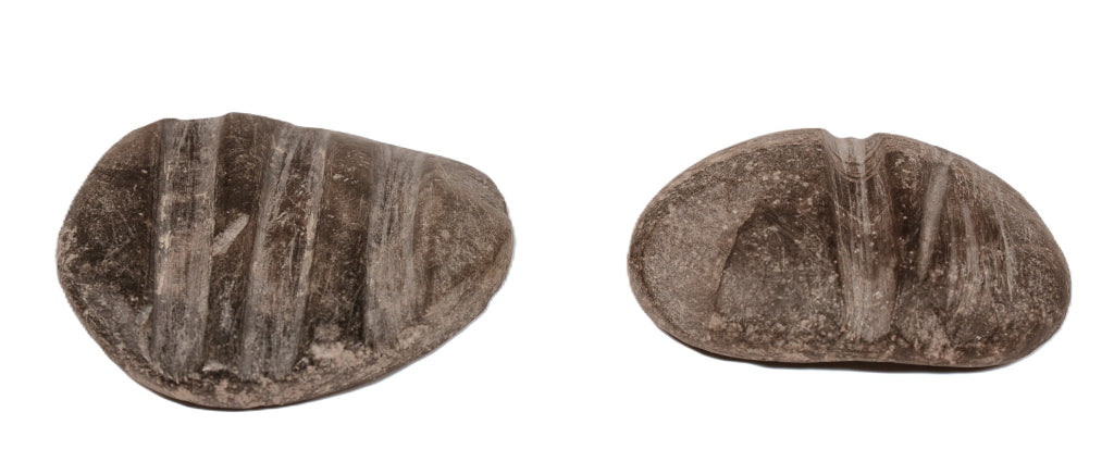 Chumash Steatite Arrow Straighteners Pair of 2
