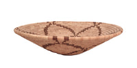 Seri Mexico Basket