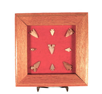 Southwest Missouri 9 Bird Points Framed