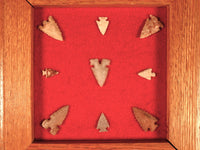 Southwest Missouri 9 Bird Points Framed