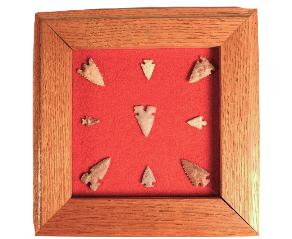 Southwest Missouri 9 Bird Points Framed