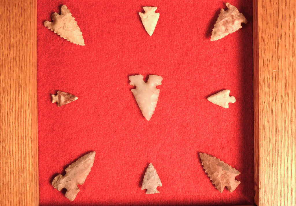 Southwest Missouri 9 Bird Points Framed
