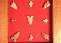 Southwest Missouri 9 Bird Points Framed