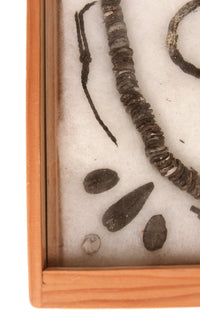 Framed Necklace and Bead Artifacts