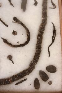 Framed Necklace and Bead Artifacts