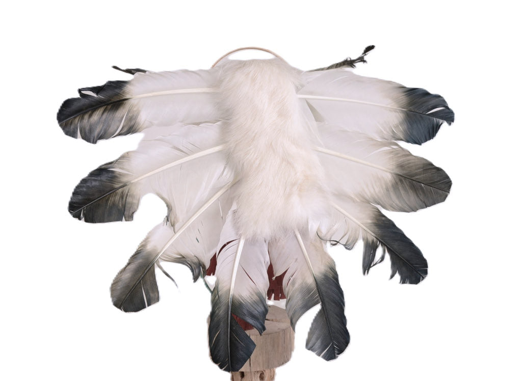 250324-174 - Image 4