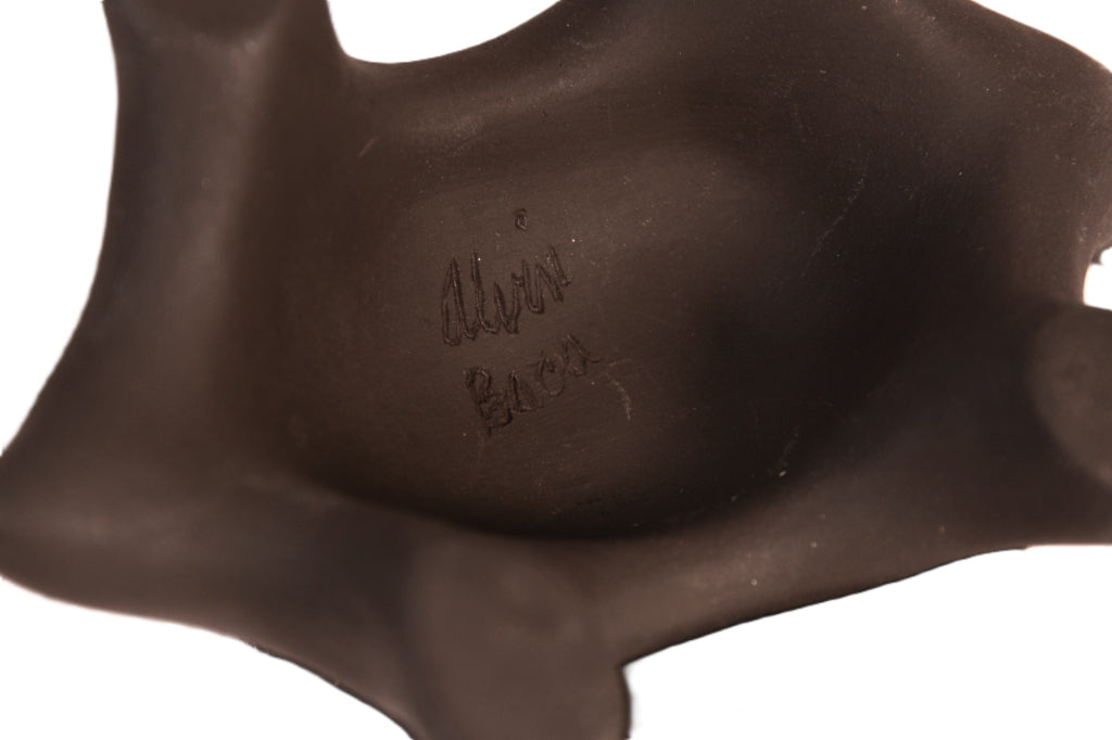 Santa Clara Pueblo Turtle Pottery By Alvin Baca