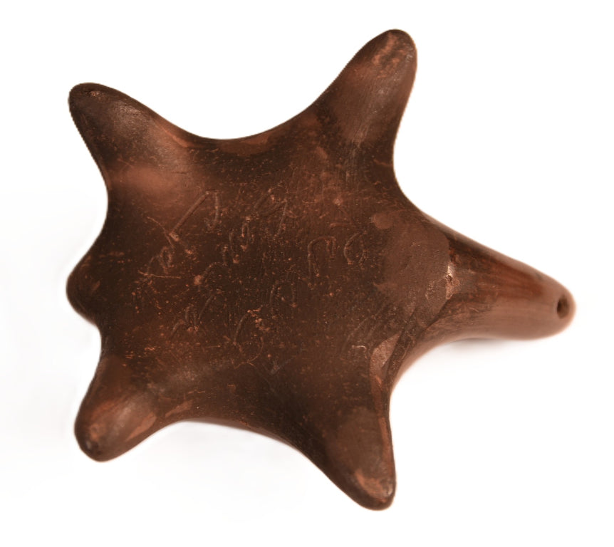 Santa Clara Pueblo Turtle Pottery By Rencie