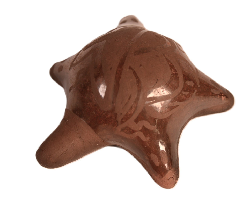 Santa Clara Pueblo Turtle Pottery By Rencie