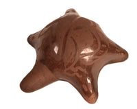 Santa Clara Pueblo Turtle Pottery By Rencie