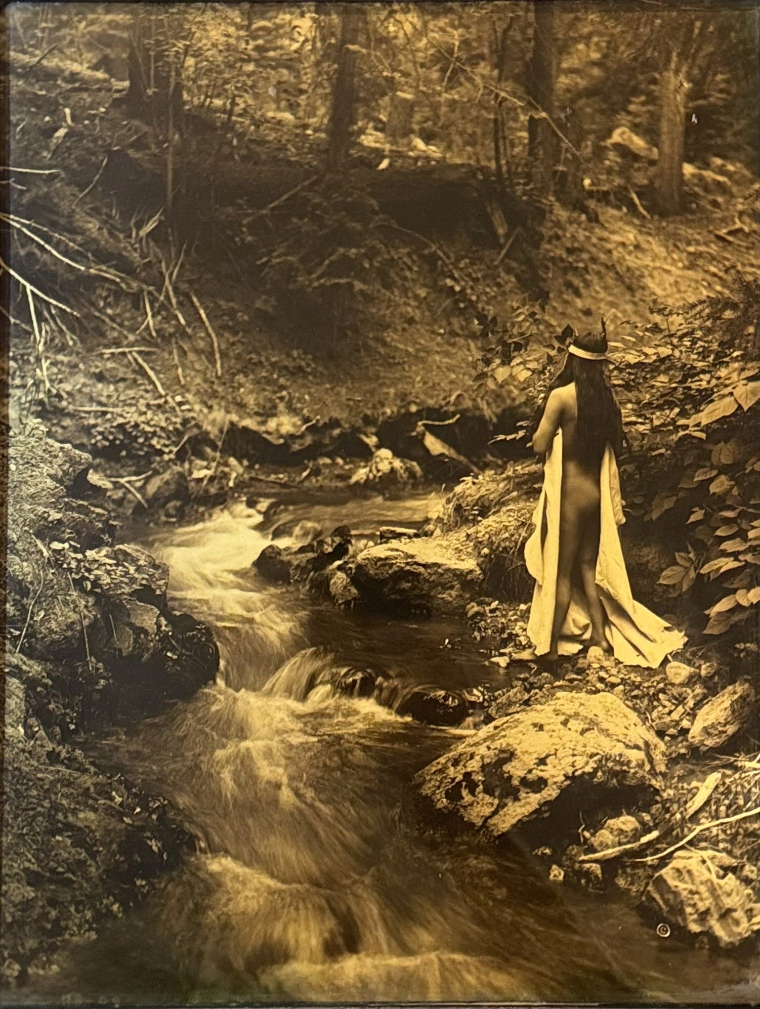 Edward S Curtis; Maid of Dreams – Antique American Indian Art