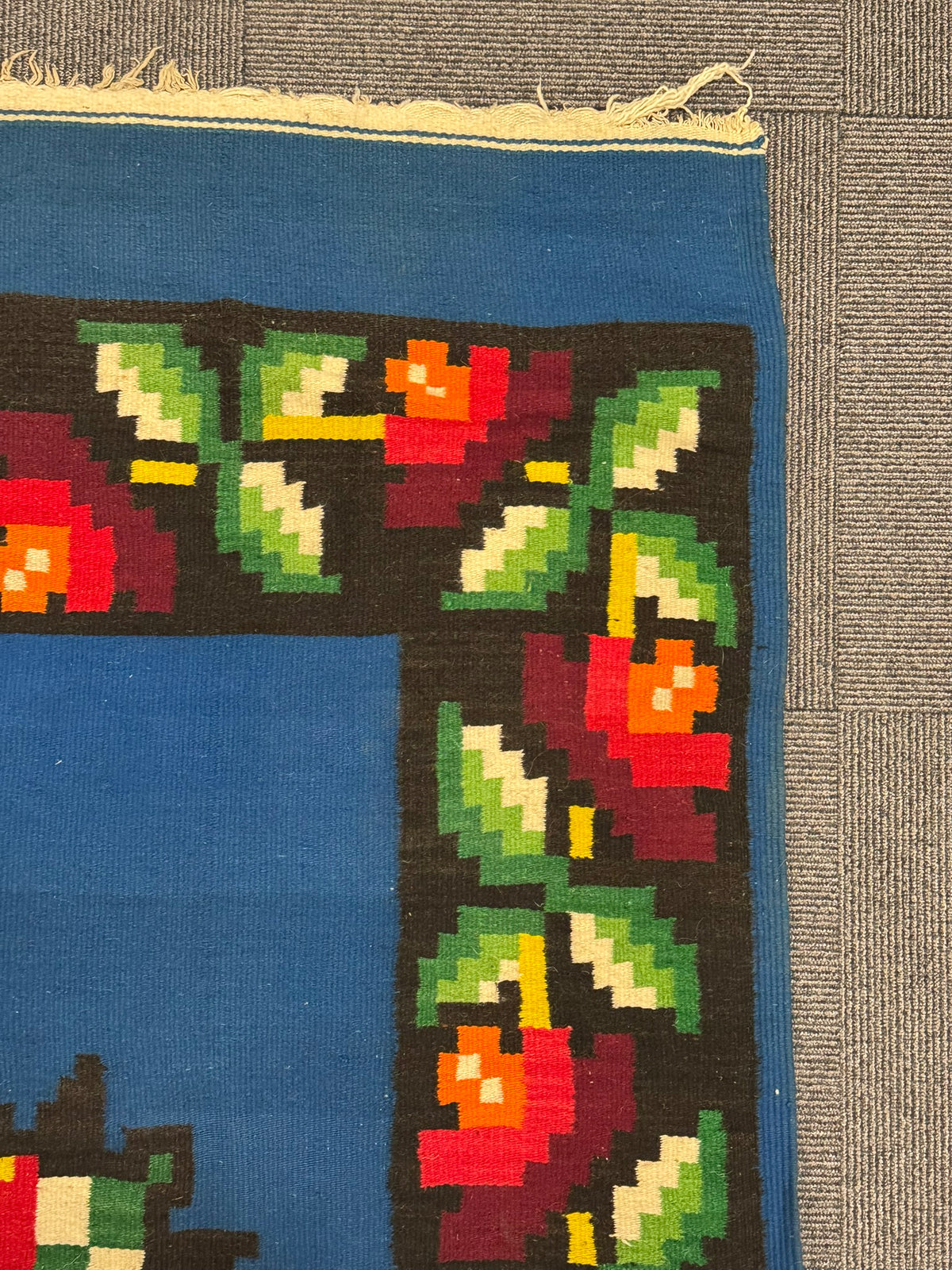 Mexican Blanket