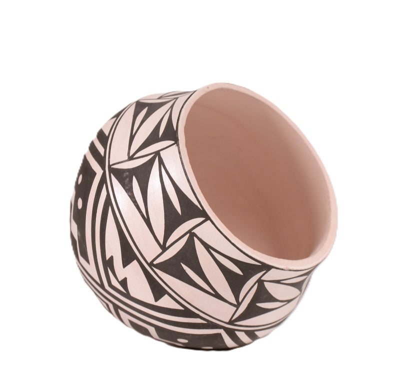 Acoma Pueblo Black on White Pottery By D. Antonia