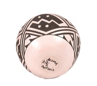 Acoma Pueblo Black on White Pottery By D. Antonia