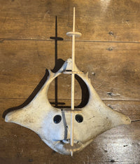 Inuit Bone Mask By Bobby Nashookpuk