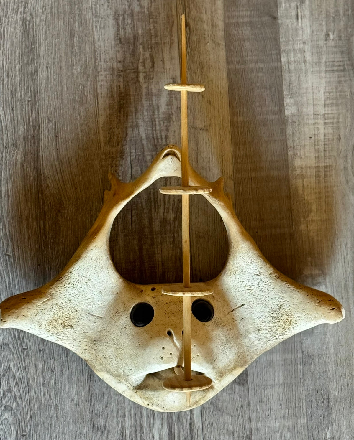 Inuit Bone Mask By Bobby Nashookpuk